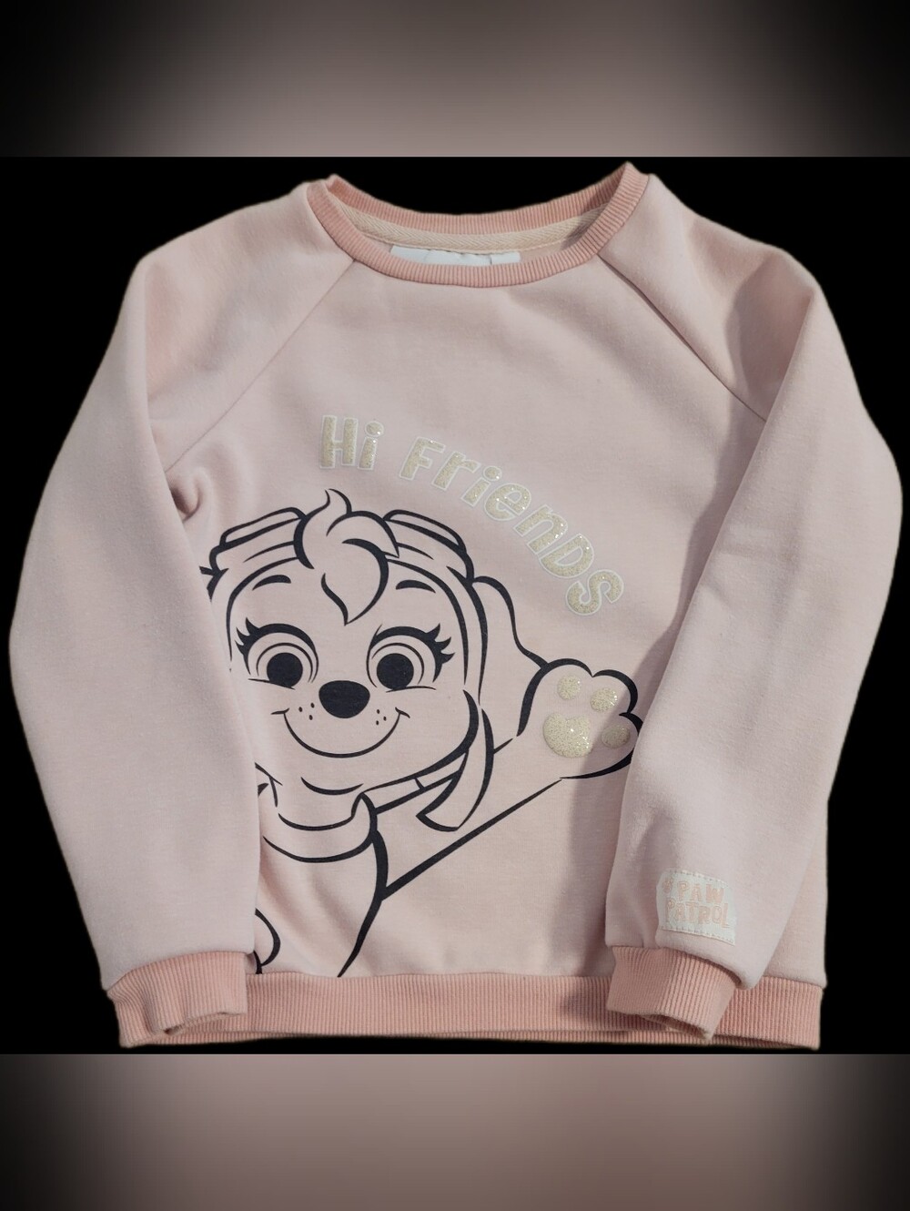 Girl 5Y Sweatshirt Pat Patrol, Like New